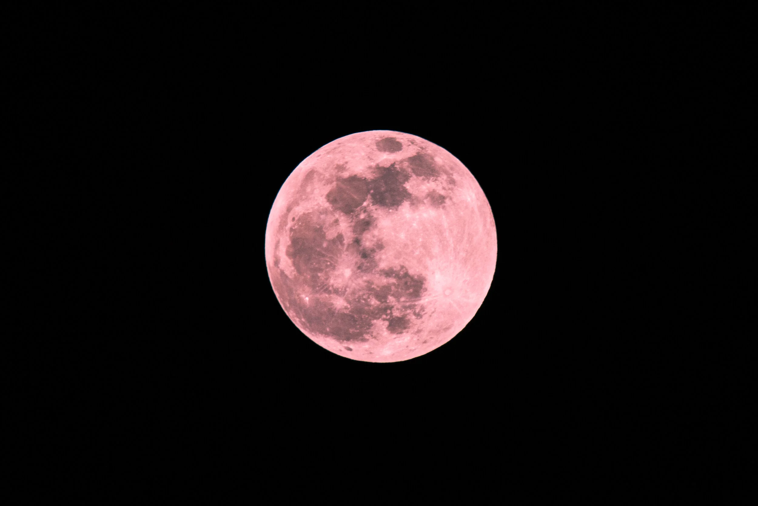 DSC_7485-10.jpg