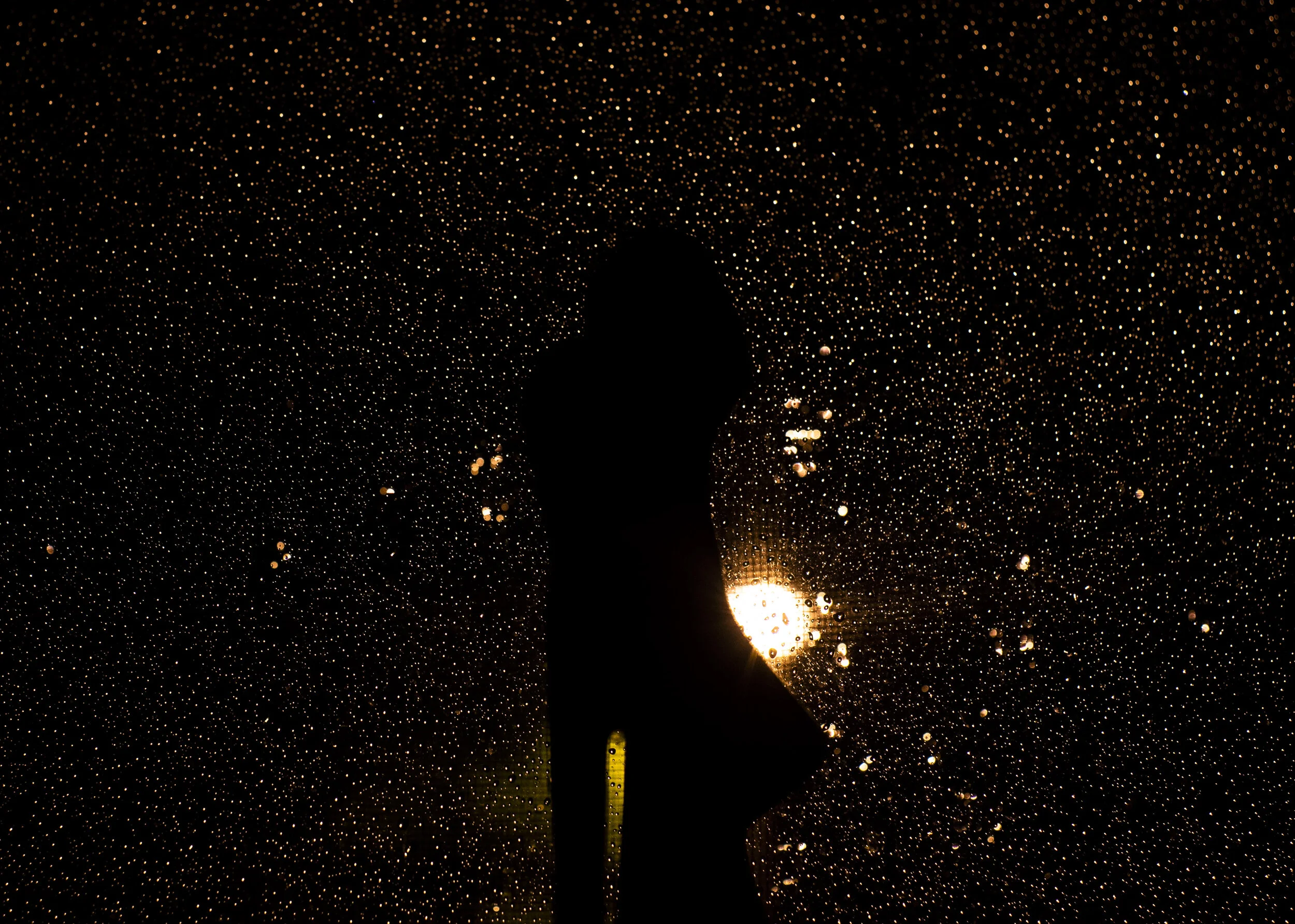 DSC_3319.jpg