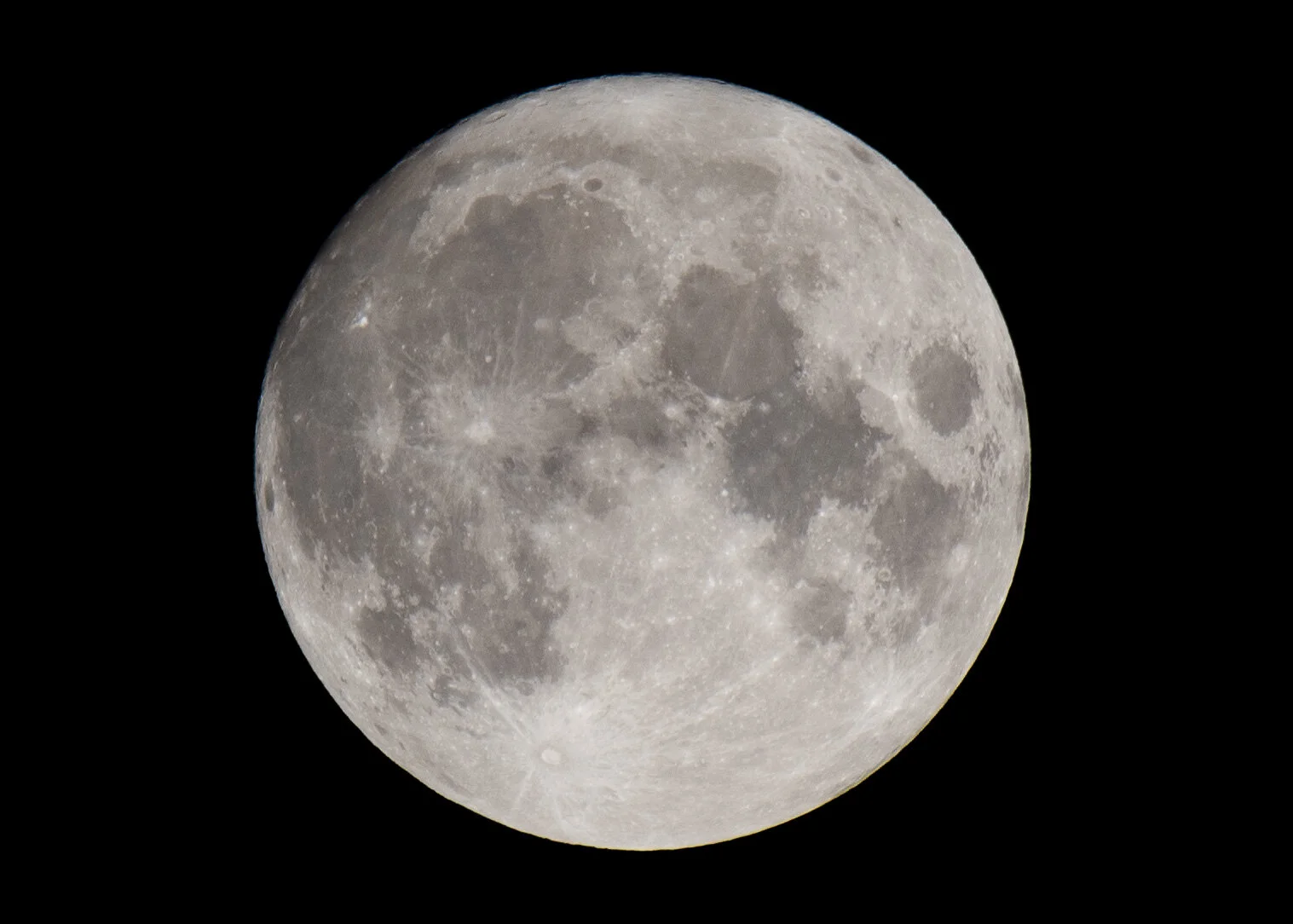 DSC_5505.jpg