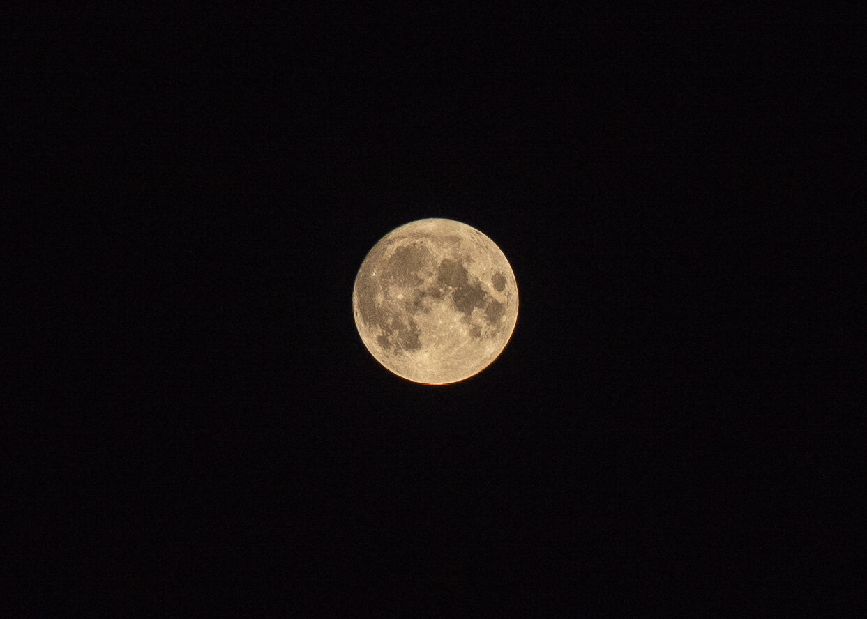 DSC_5513.jpg