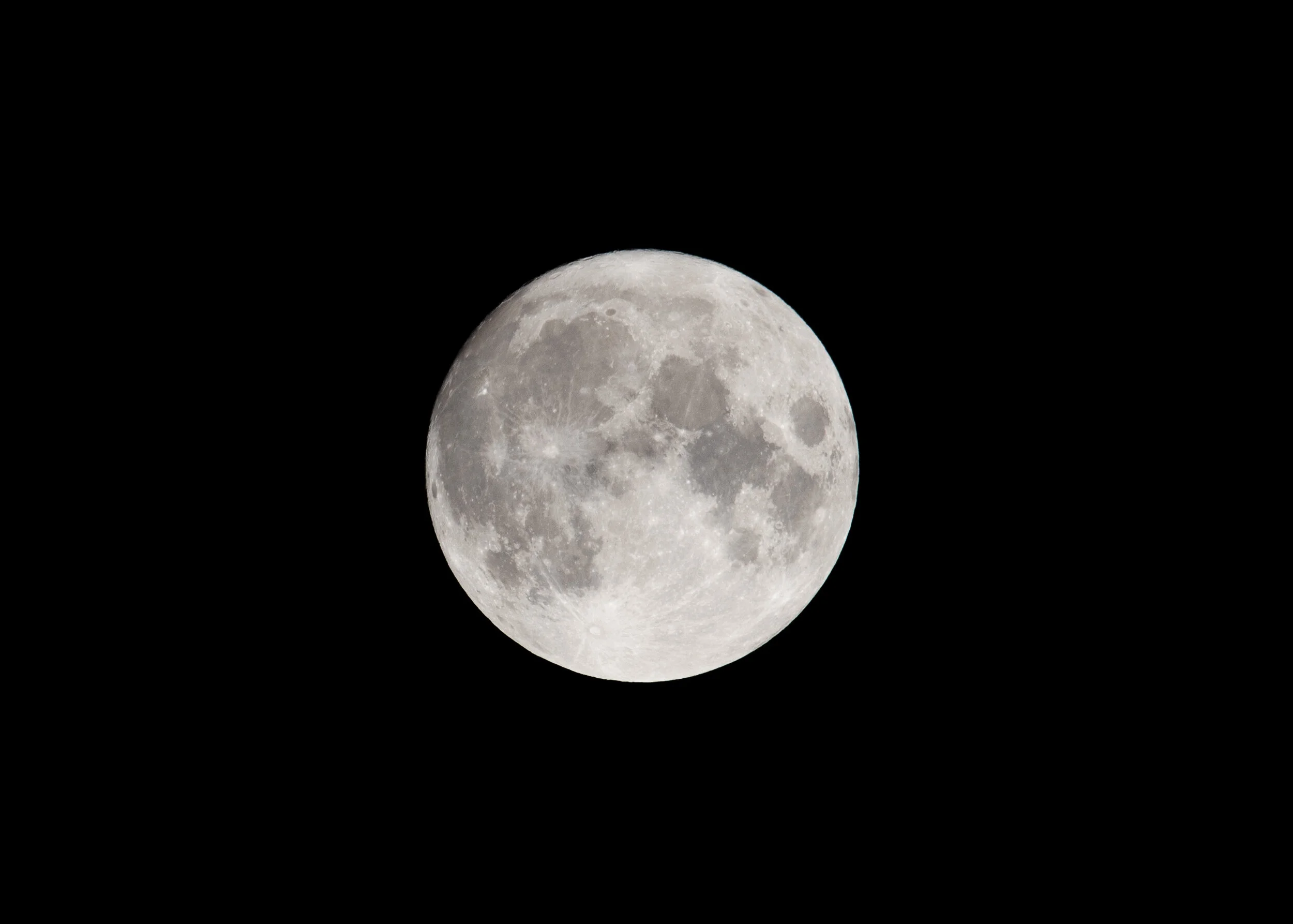 DSC_5535.jpg