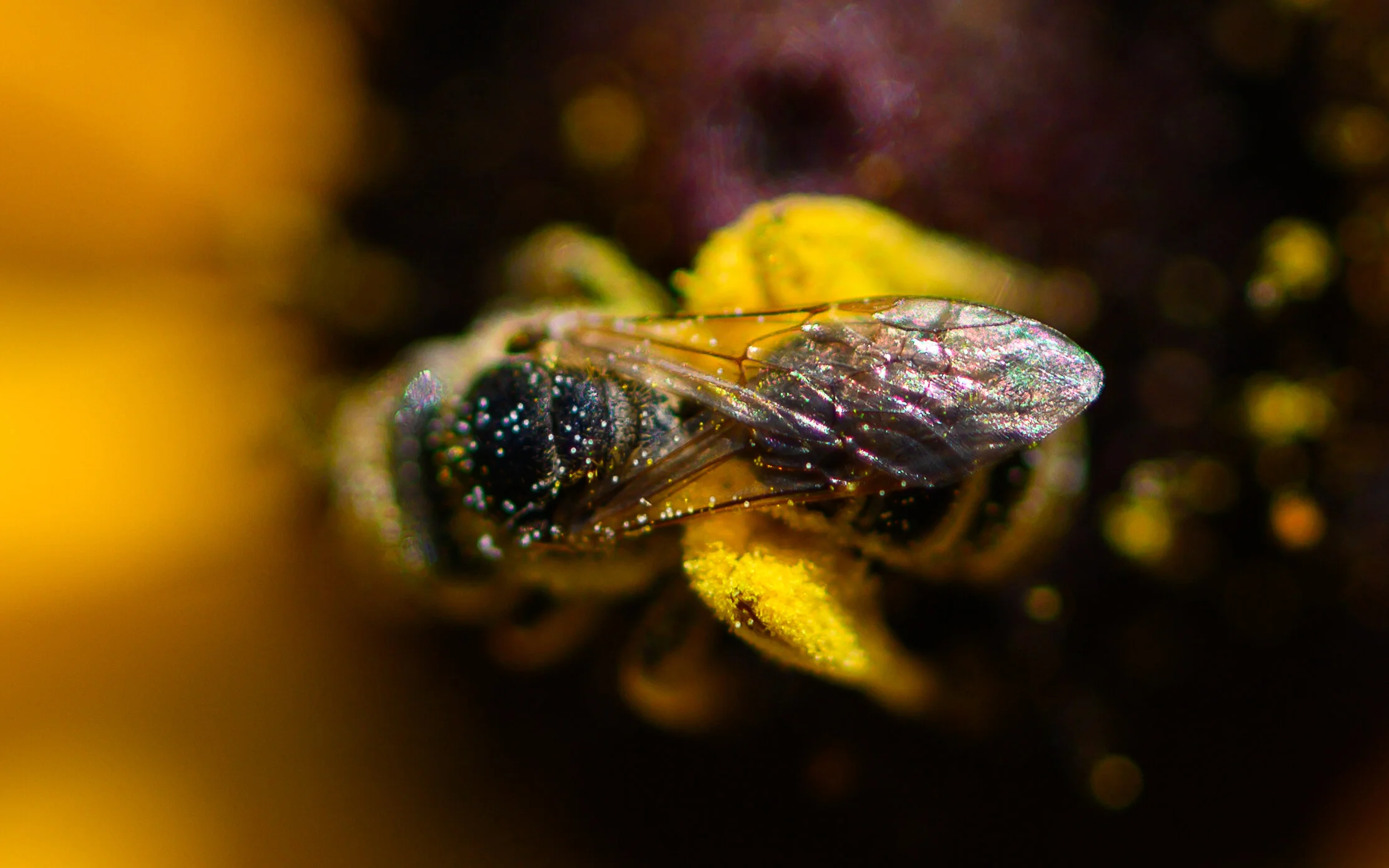 3A886612-DDB5-40E8-8DEB-1F4443406F53