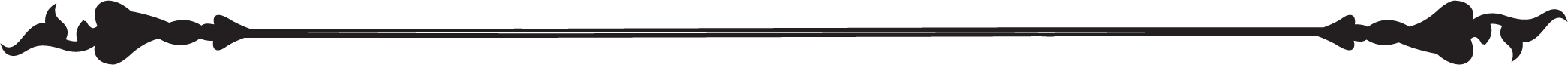 Asset 2divider.png