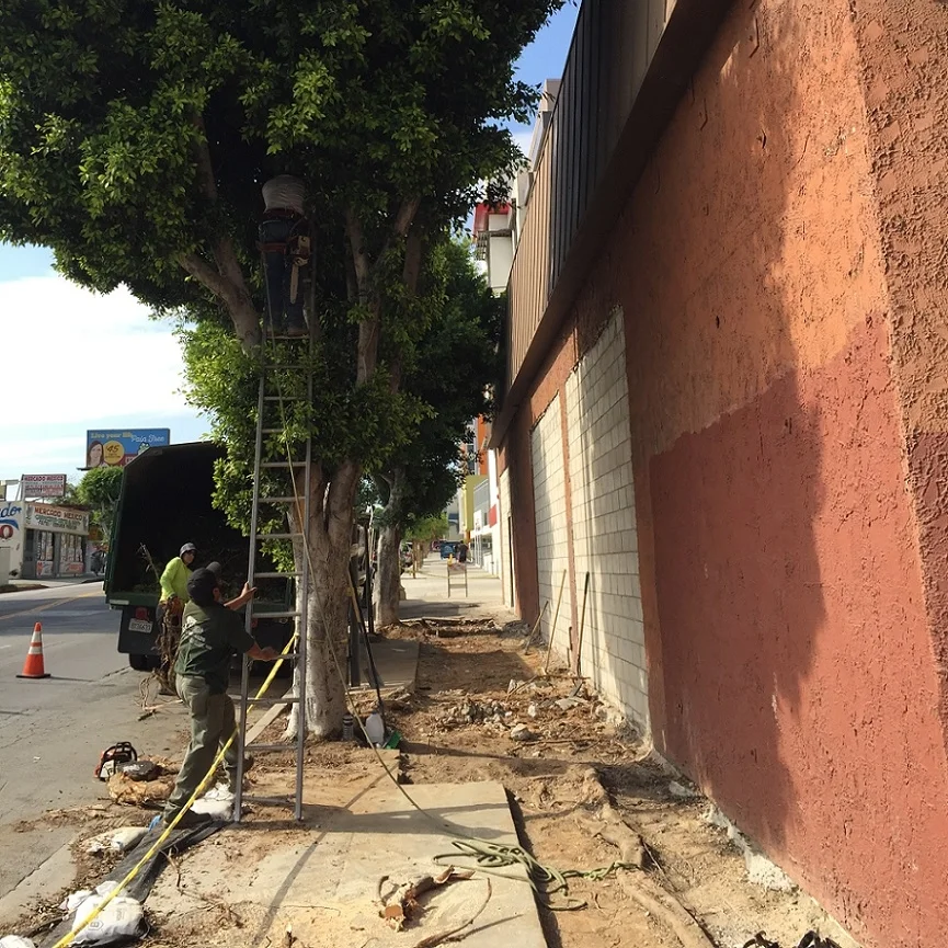 Sidewalk Restoration