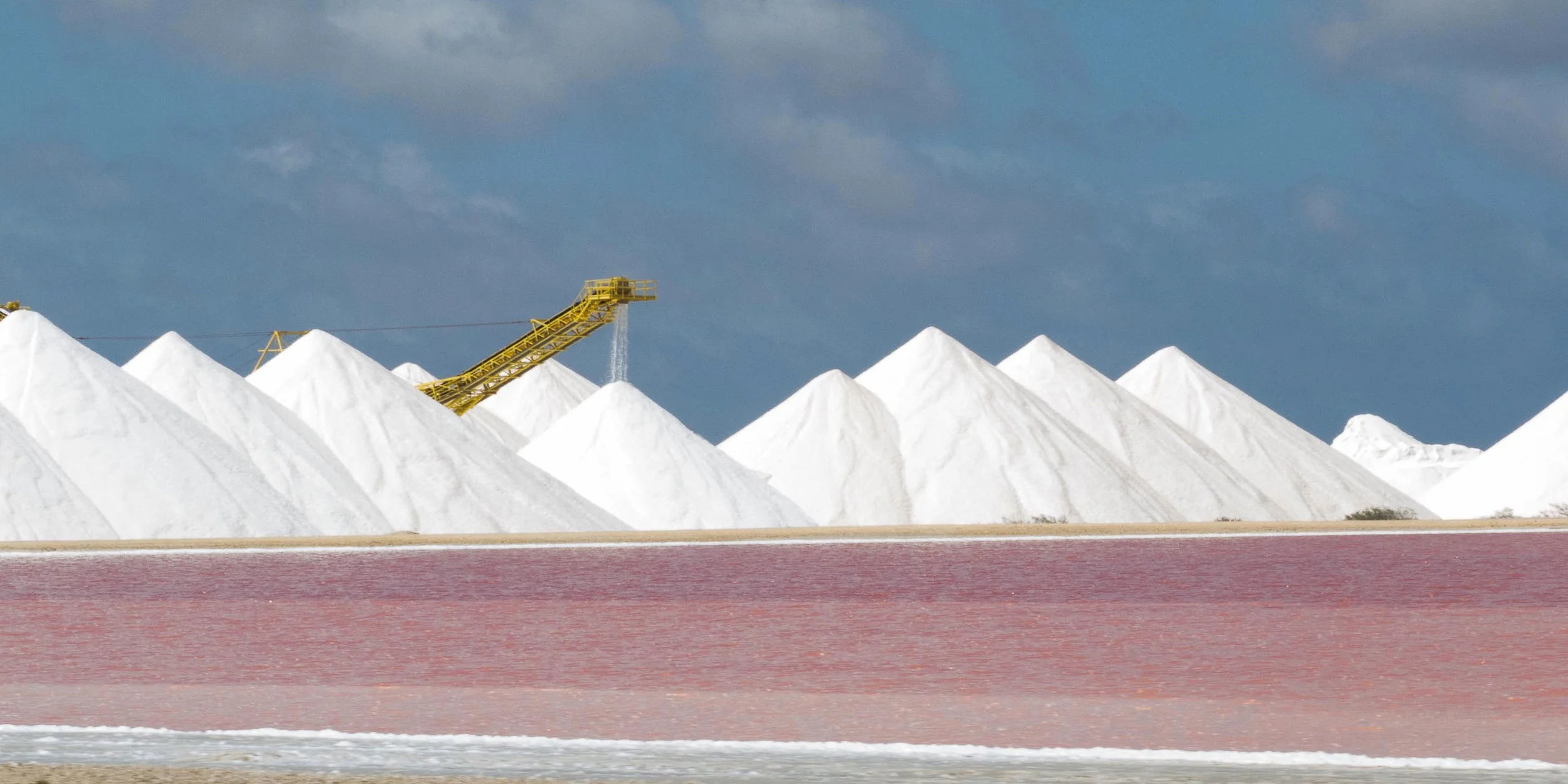 cargillsalt.jpg