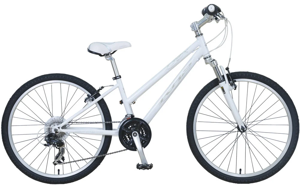 KHS T-Rex 24" ($299)