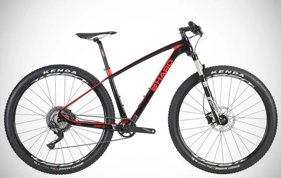 haro_flc_29_comp.jpg