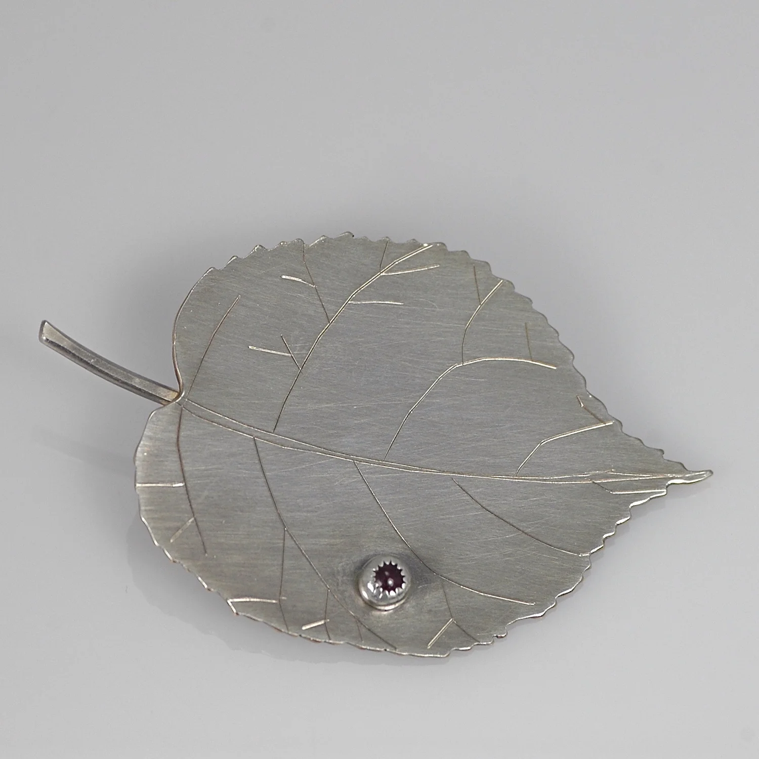 Climbing Hydrangea Leaf w/Ruby