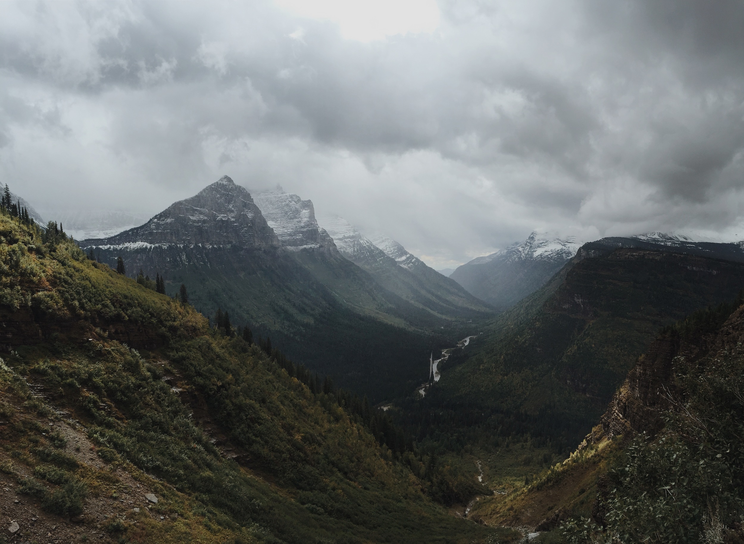 Design Strategic Business Development Product Management Professional Consulting