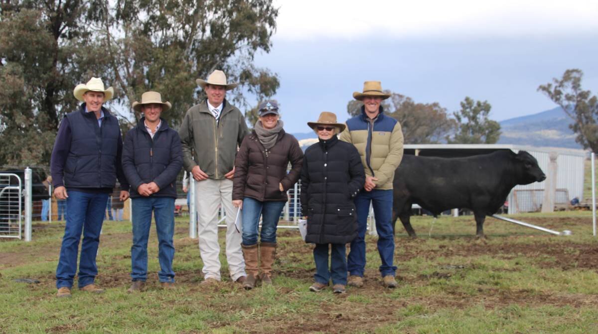 Bill Lawson of McDonald Lawson, Harry White, auctioneer Paul Dooley, Maria and Betty Roche and Jack White of Coffin Creek with the top priced bull Joker Q25.