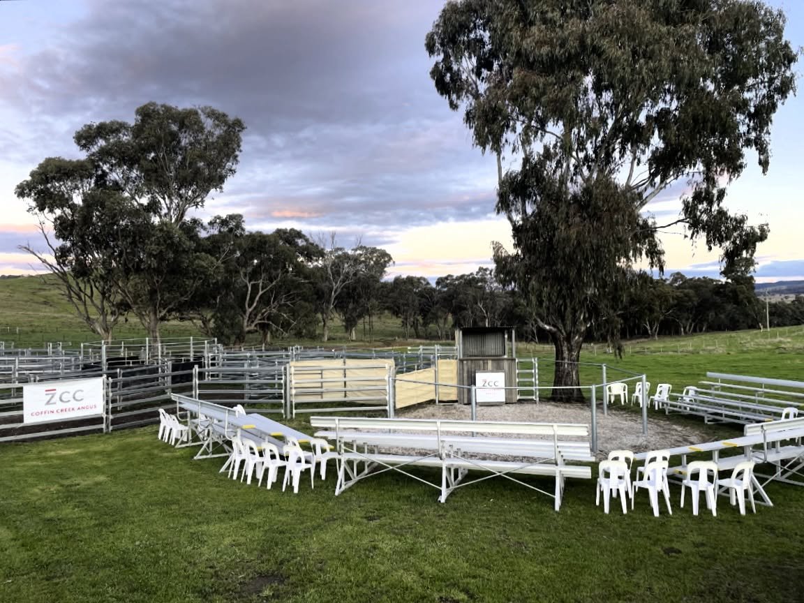 It&rsquo;s bull sale eve and we can&rsquo;t wait to open the gate tomorrow at open 10am. 57 bulls &amp; 50 heifers will sell at 1pm, interfaced through @auctionsplus. The sun will be shining and the grass is green. All welcome, hope to see you here.