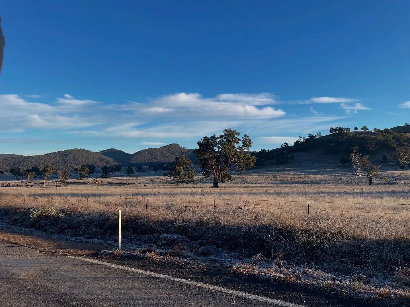 A solid start to breeding season here this week with winter well and truly upon us as we AI&rsquo;d 150 registered heifers. Another 150 CIDRs are in the cows, donors and recips, ready for next week. A massive thanks to Wes and Gussie @cudgegongvalley