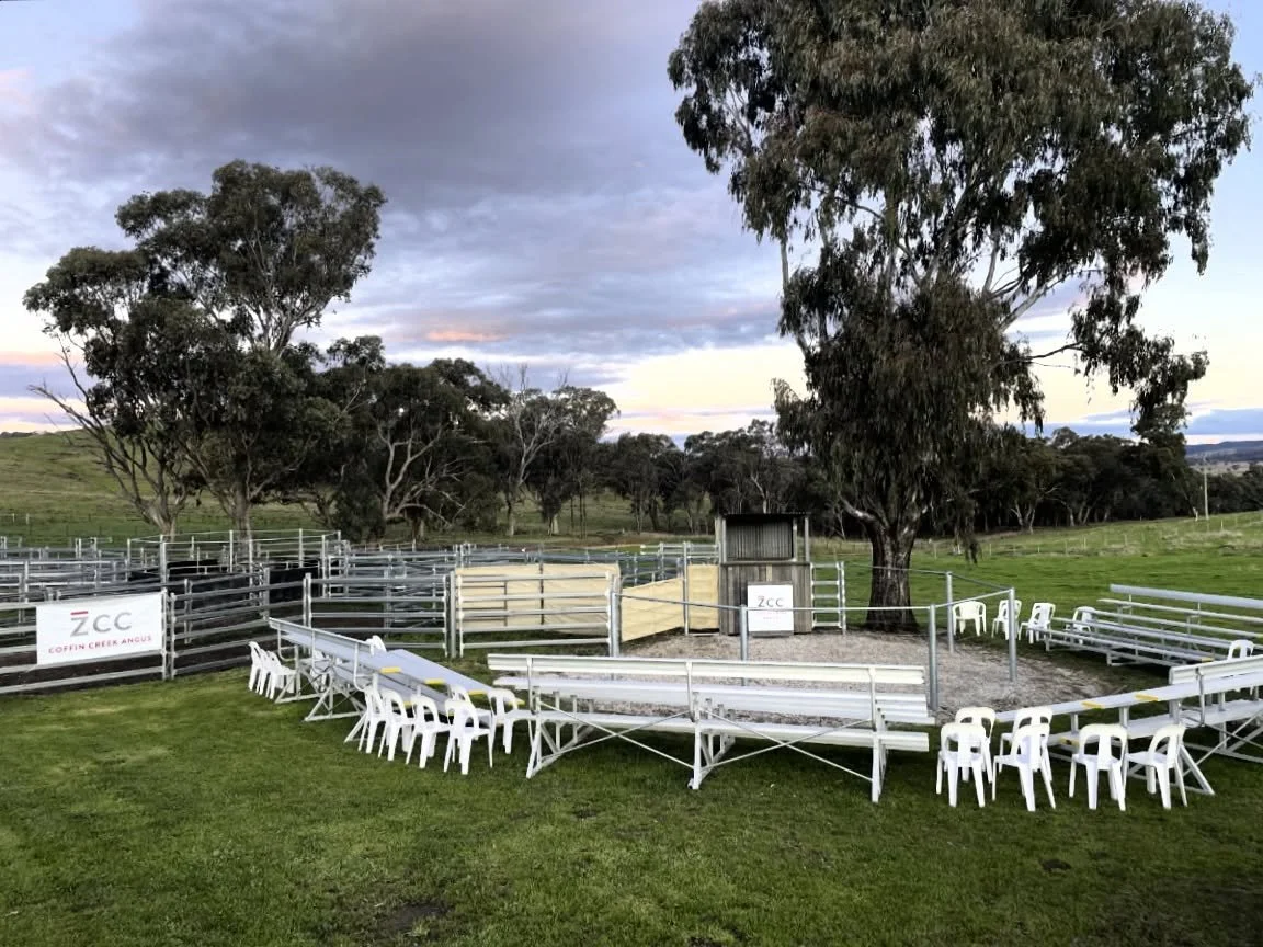 It&rsquo;s bull sale eve and we can&rsquo;t wait to open the gate tomorrow at open 10am. 57 bulls &amp; 50 heifers will sell at 1pm, interfaced through @auctionsplus. The sun will be shining and the grass is green. All welcome, hope to see you here.