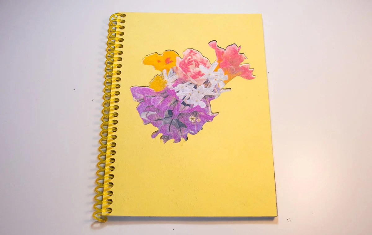 dandelions book.jpeg