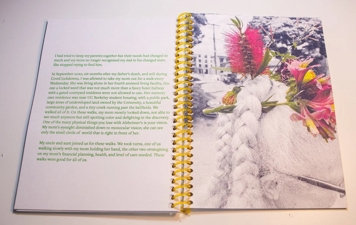 dandelions book inside cover.jpeg