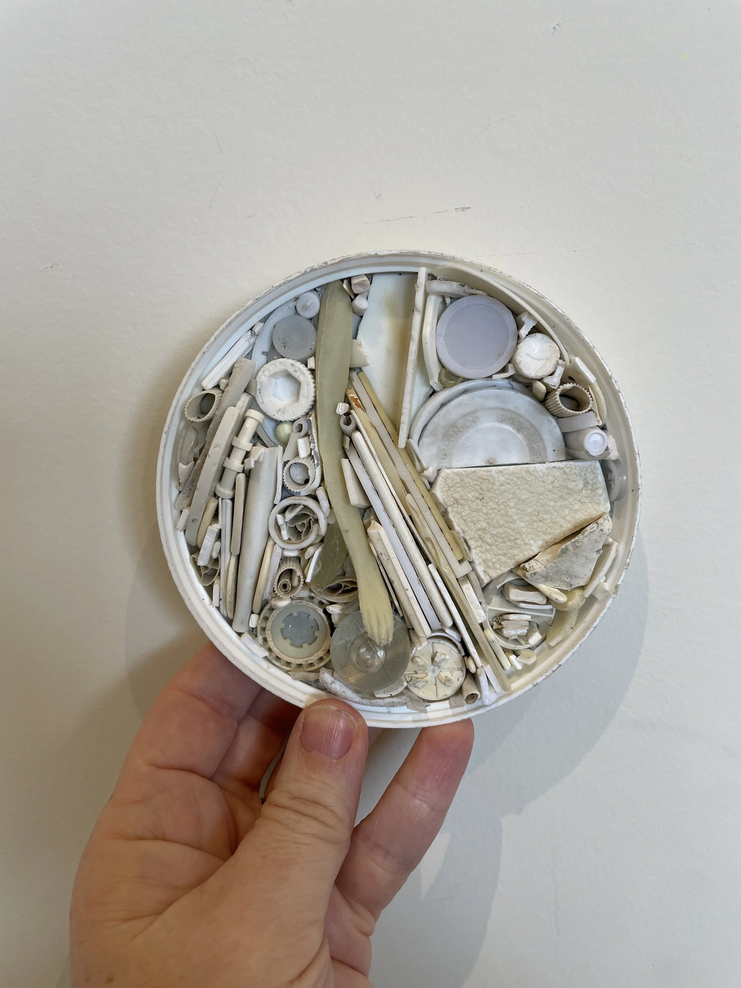 Erin McCluskey_white.JPG