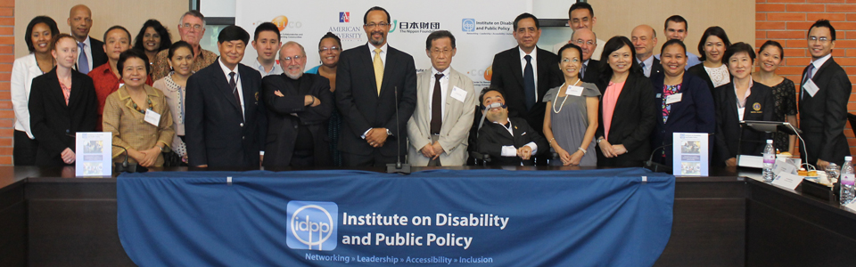 Banner_idpp_2013_annual_meeting2.jpg