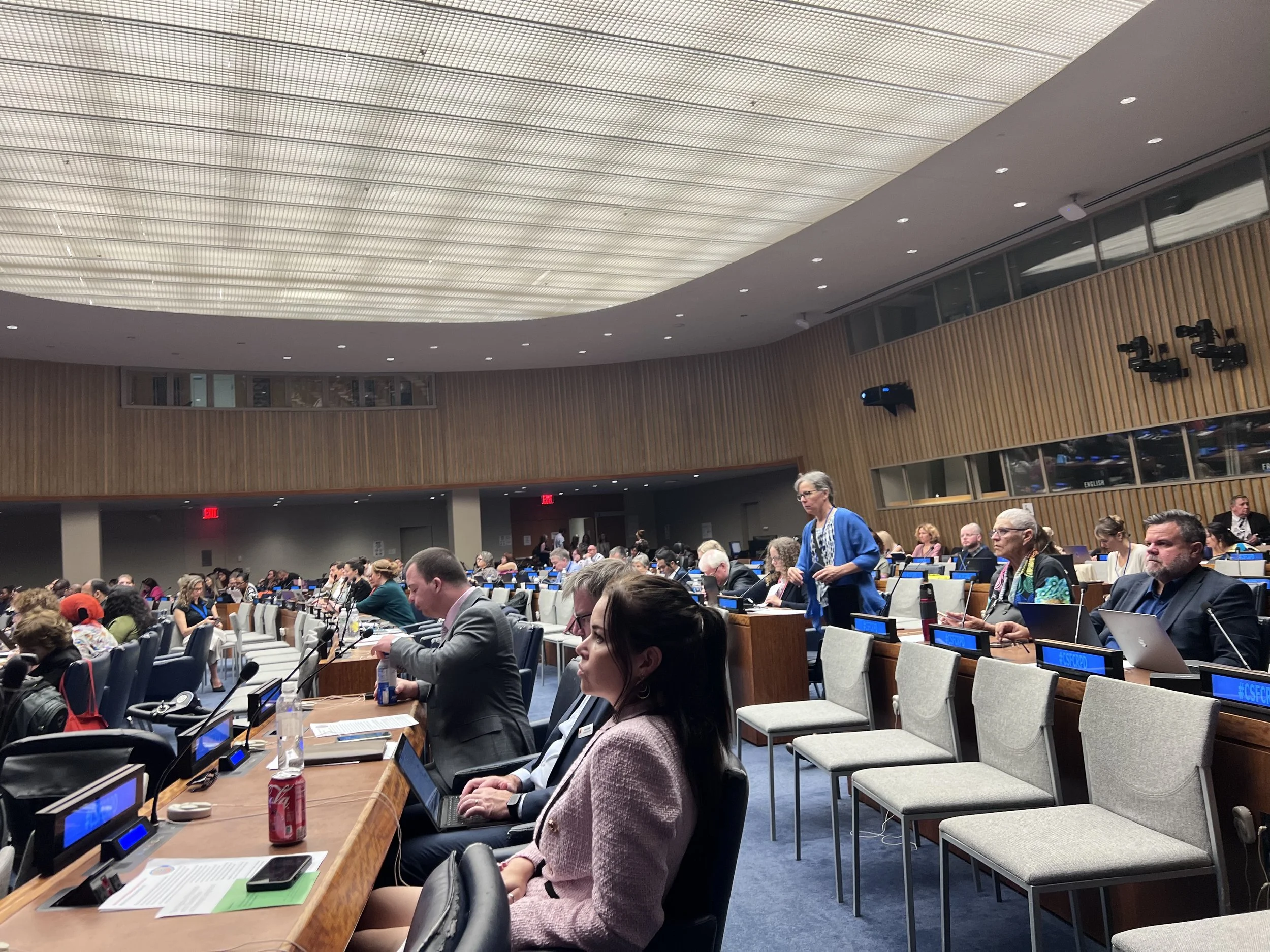 IDPP at 17th UN Conference of States Parties to the CRPD