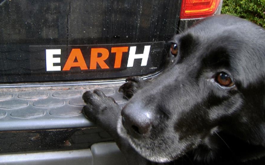 EARTH Sticker Truck and Black Dog 1
