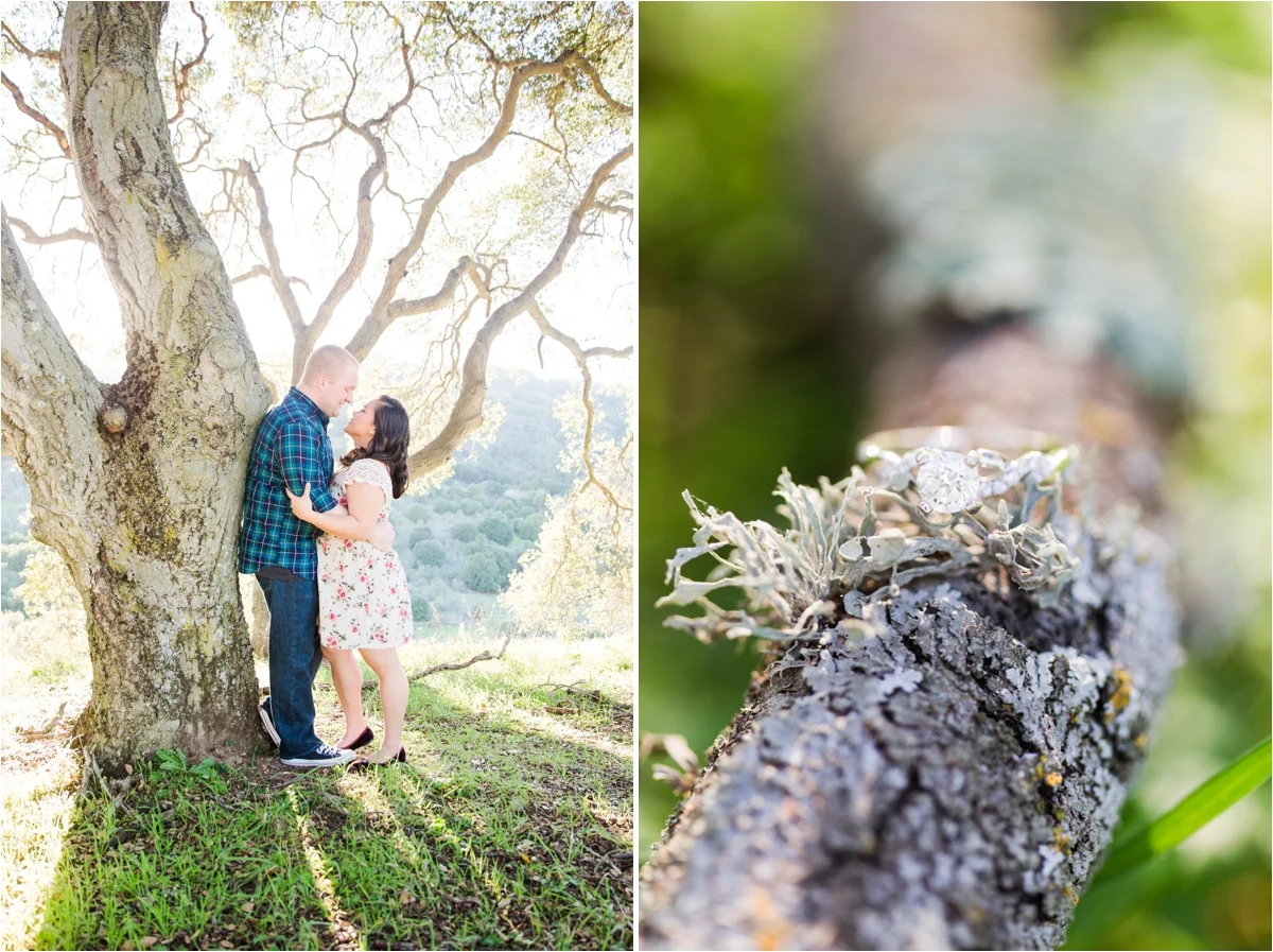 Engagement photo shoot at Piccetti Winery in Cupertino, CA. Pictures by Briana Calderon Photography based in the San Francisco Bay Area in California.