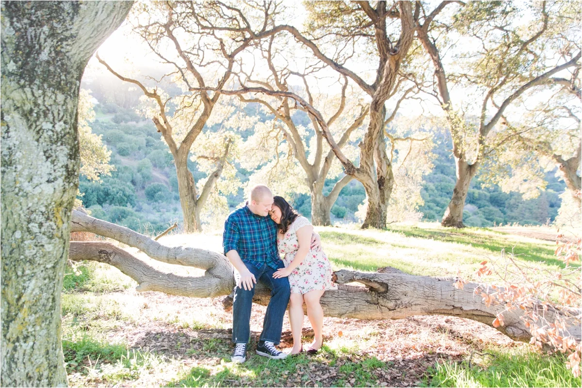Engagement photo shoot at Piccetti Winery in Cupertino, CA. Pictures by Briana Calderon Photography based in the San Francisco Bay Area in California.