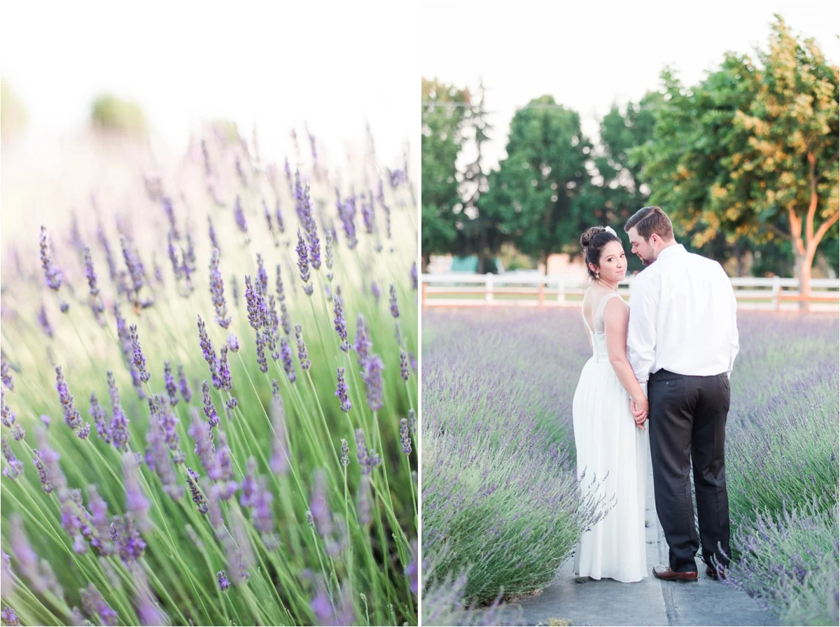 Wedding photos at Pageo Lavender Farm in Turlock, CA. Photos by Briana Calderon Photography based in the San Francisco Bay Area in California.