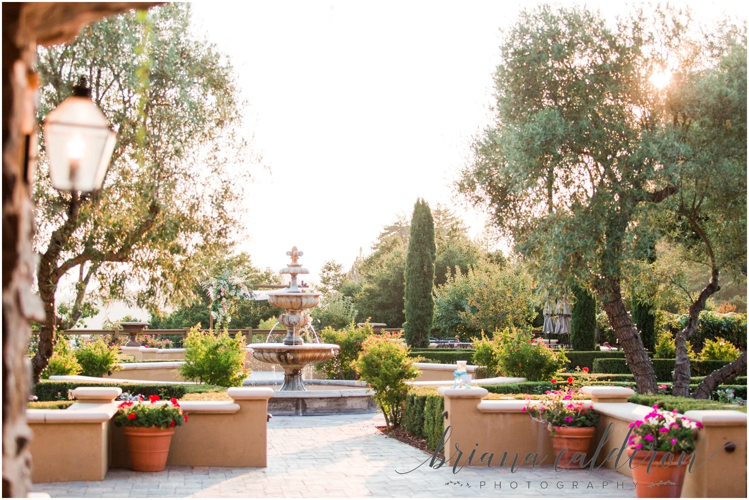 Regale Winery Wedding photos by Briana Calderon Photography_0697.jpg