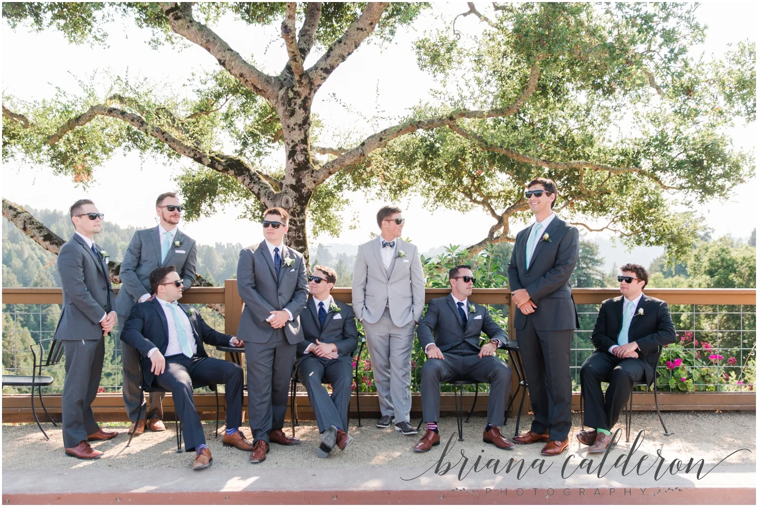 Regale Winery Wedding photos by Briana Calderon Photography_0663.jpg