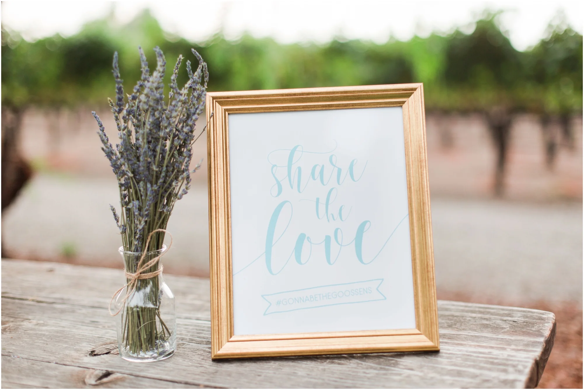 Retzlaff Winery wedding pictures by Briana Calderon Photography_2302.jpg