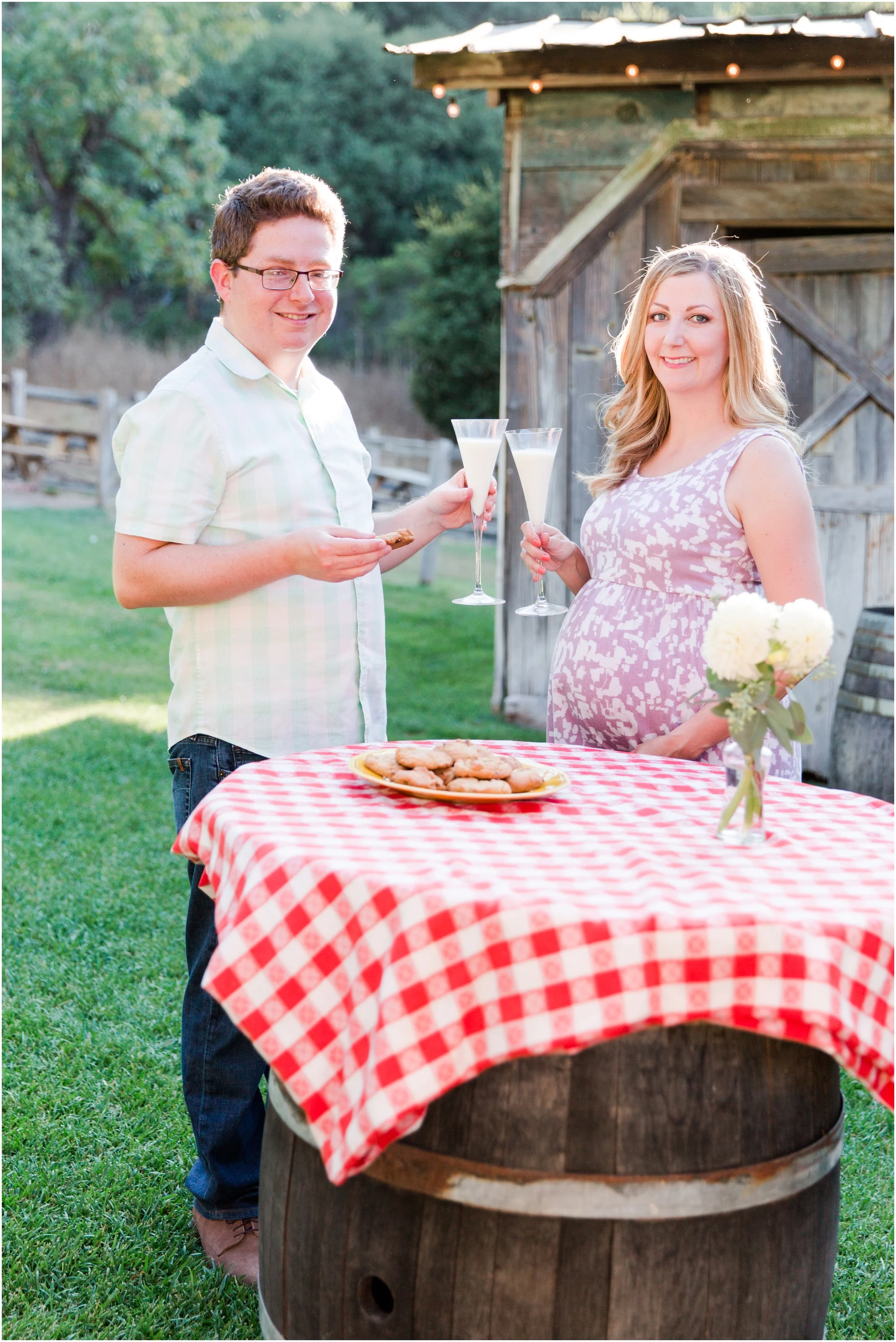 View Picnic Maternity Shoot Background