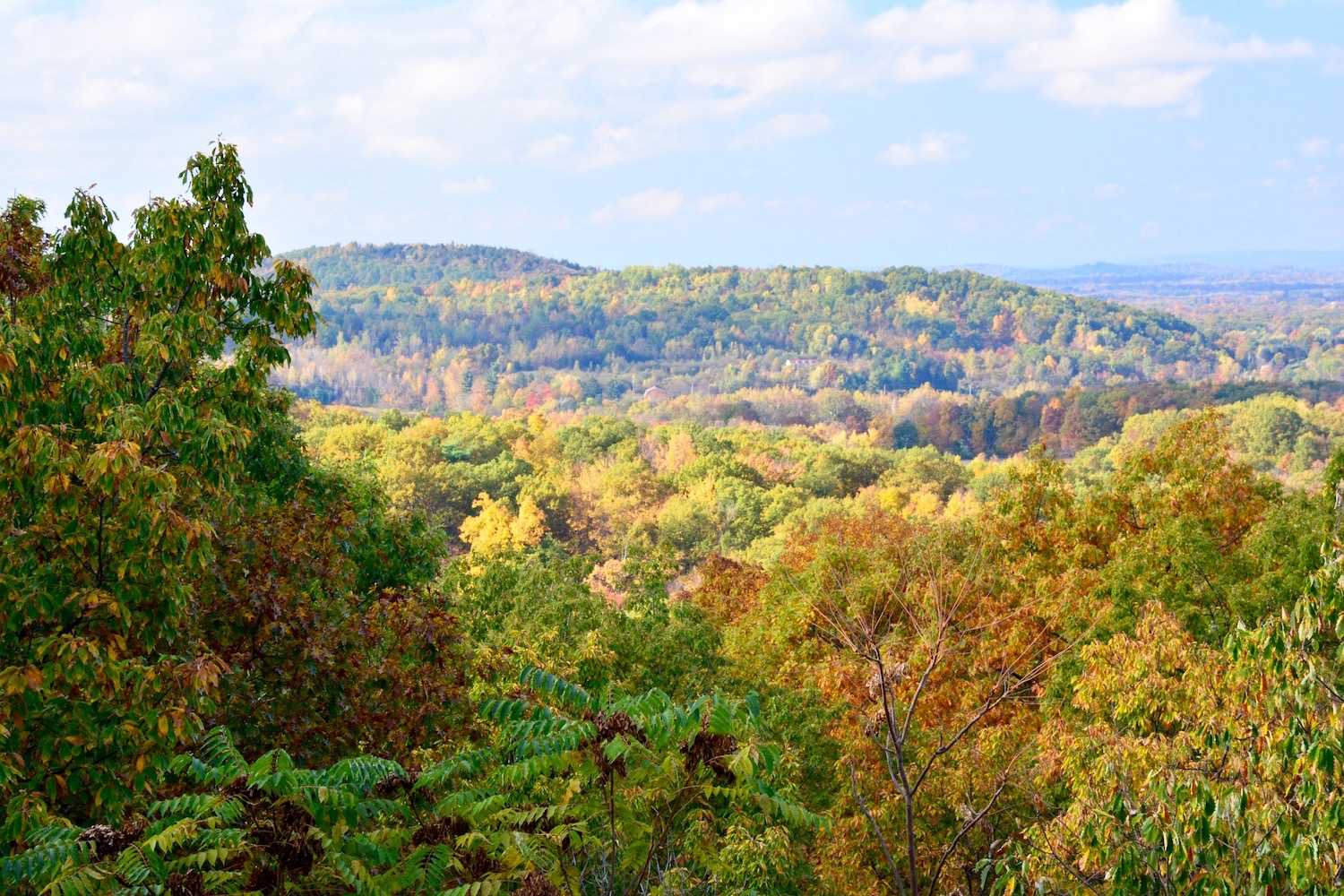 DSC_0118_edit.jpg