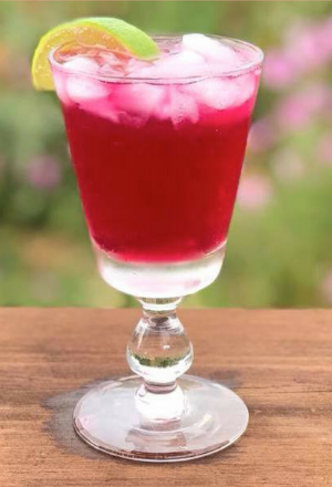 Shiso Negroni.png