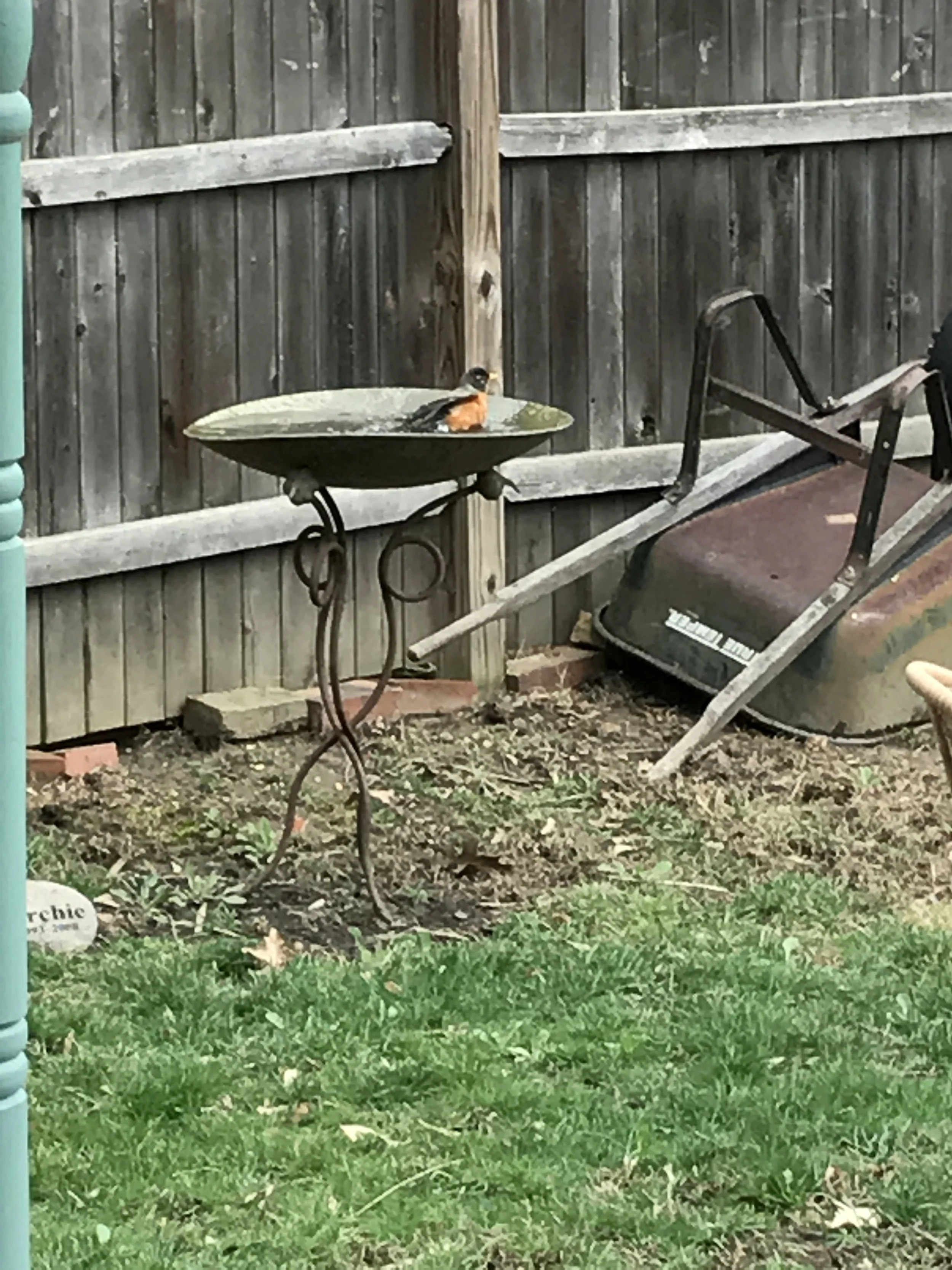 Spring Again: Five Heaping Helpings Of Hump Day Funk To Help You Get Over The Hump