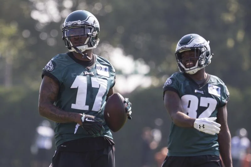 alshon torrey.jpg