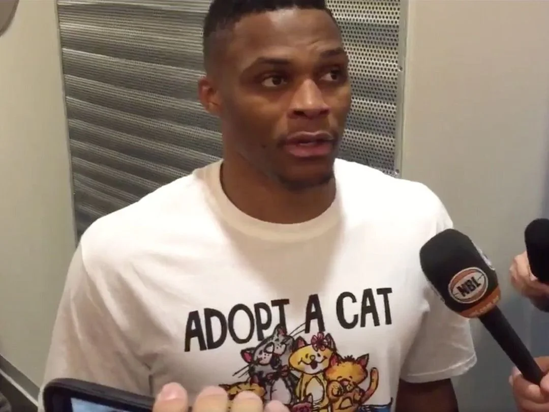 westbrook-cats.jpg