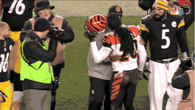 tomlin bengals.gif
