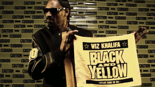 snoop steelers.gif