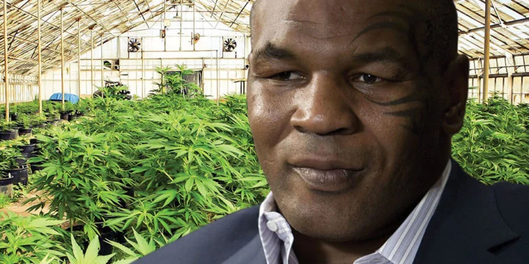 mike-tyson-weed-farm-kulture-hub-770x385.jpg