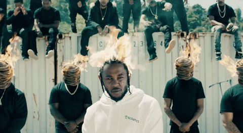 giphy (29).gif