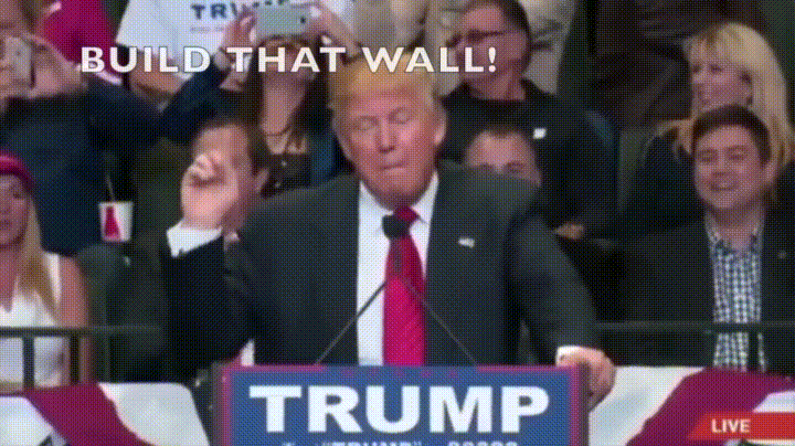 donald-trump-build-that-wall-wtf.gif