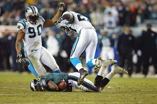 mcnabb panthers.jpg