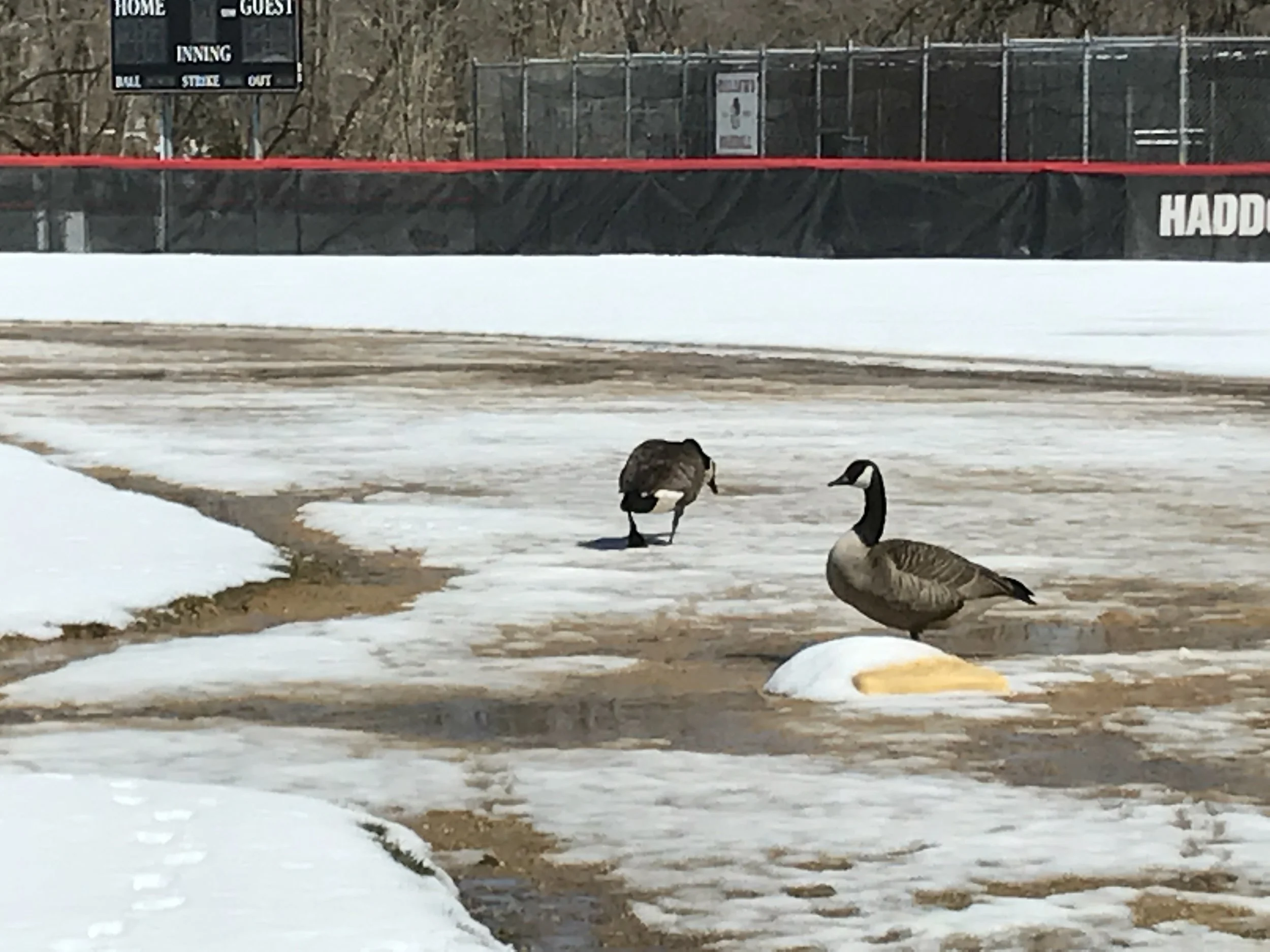 It's A WinterSpring Thing: Atlanta Episode 4, Convenience Store Wars, Roxanne Roxanne, The Curious Case of Michael Bennett, Music On My Mind, King James, Fultz Back