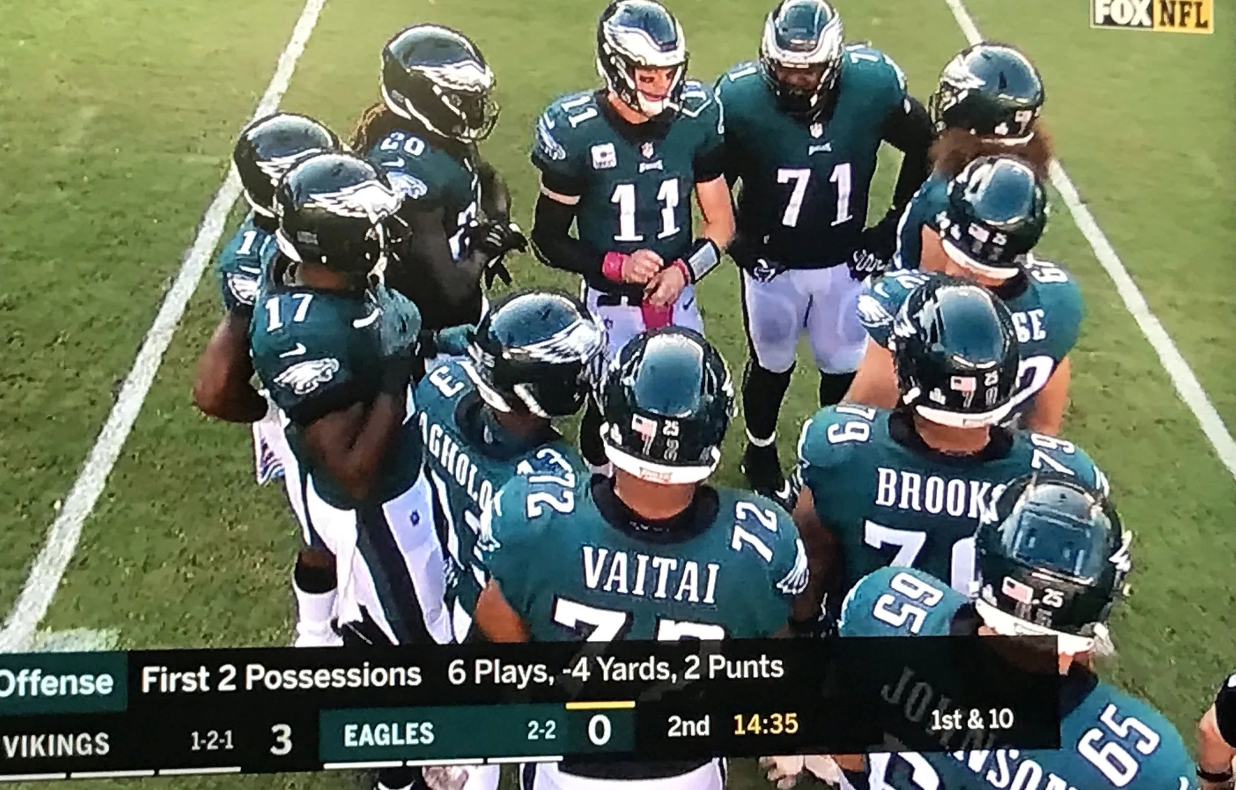 birds graphic.jpg