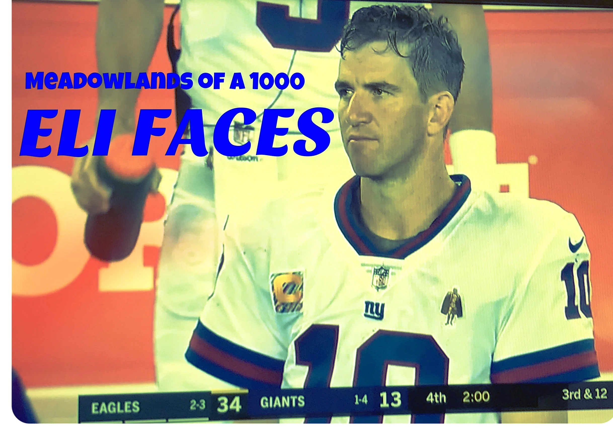 Flock of Eagles Meadow-Lands of a 1000 Eli Faces: Thursday Night Football Edition