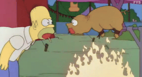 tumblr_inline_mmpfn12nWw1qz4rgp.gif