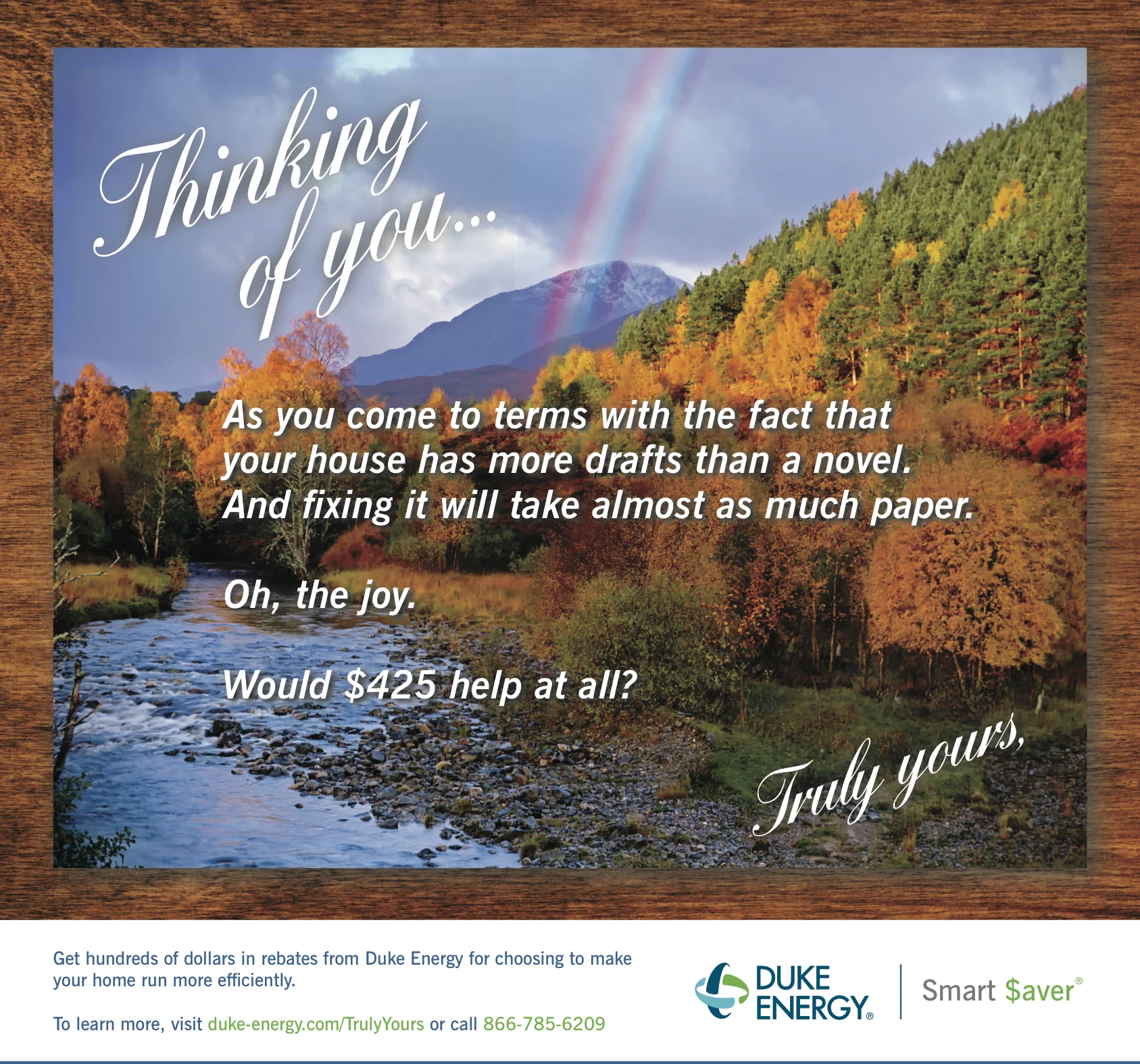 Duke Energy: Smart $aver "Air Leaks" (Print)