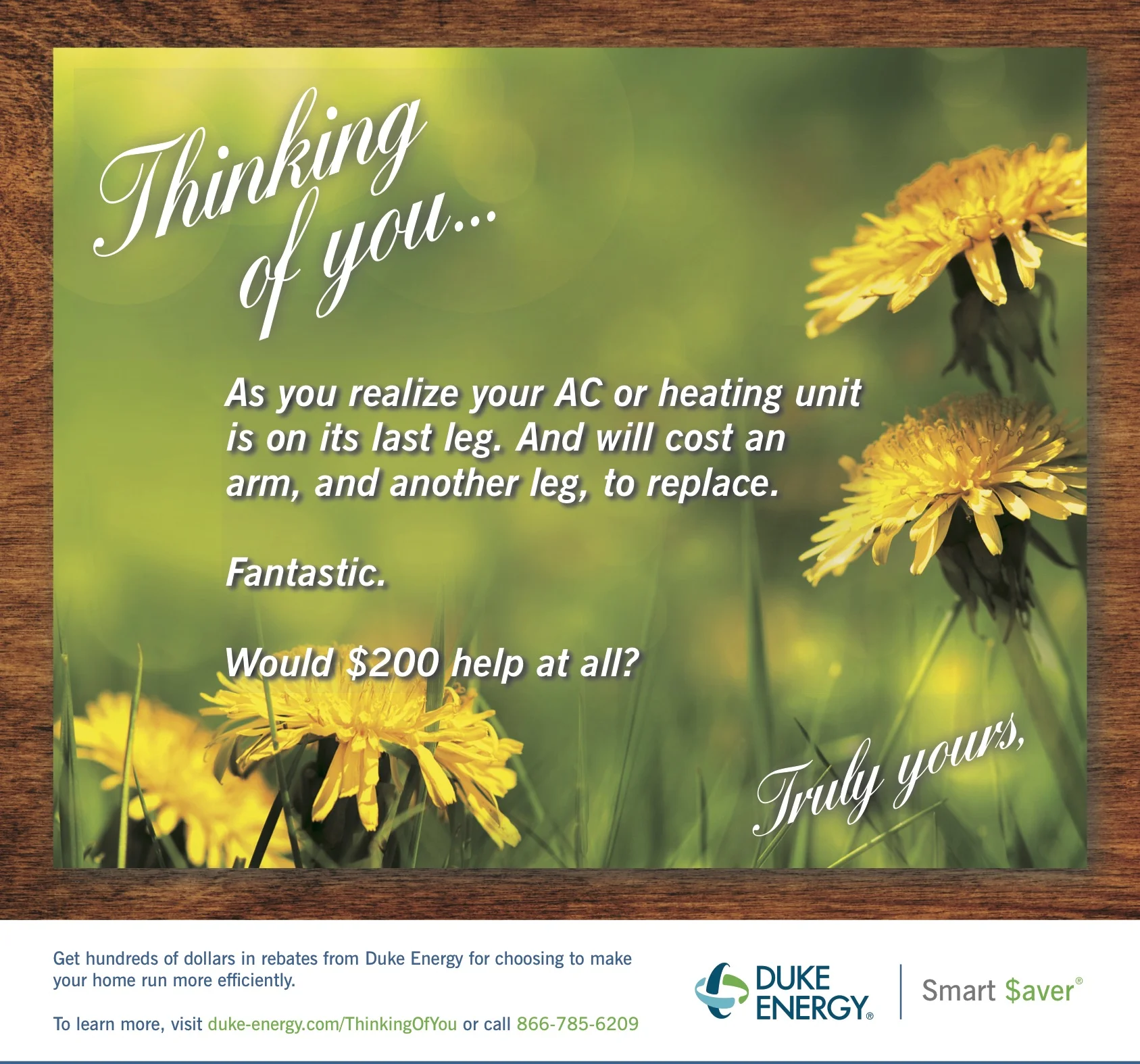 Duke Energy: Smart $aver "HVAC" (Print)