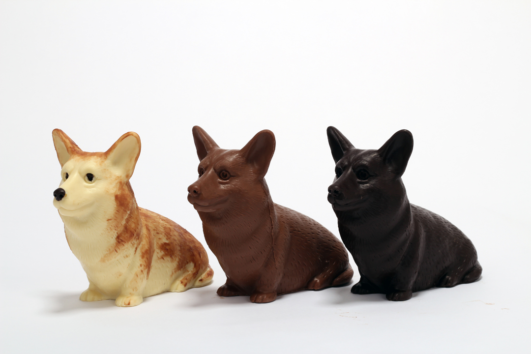 Corgi