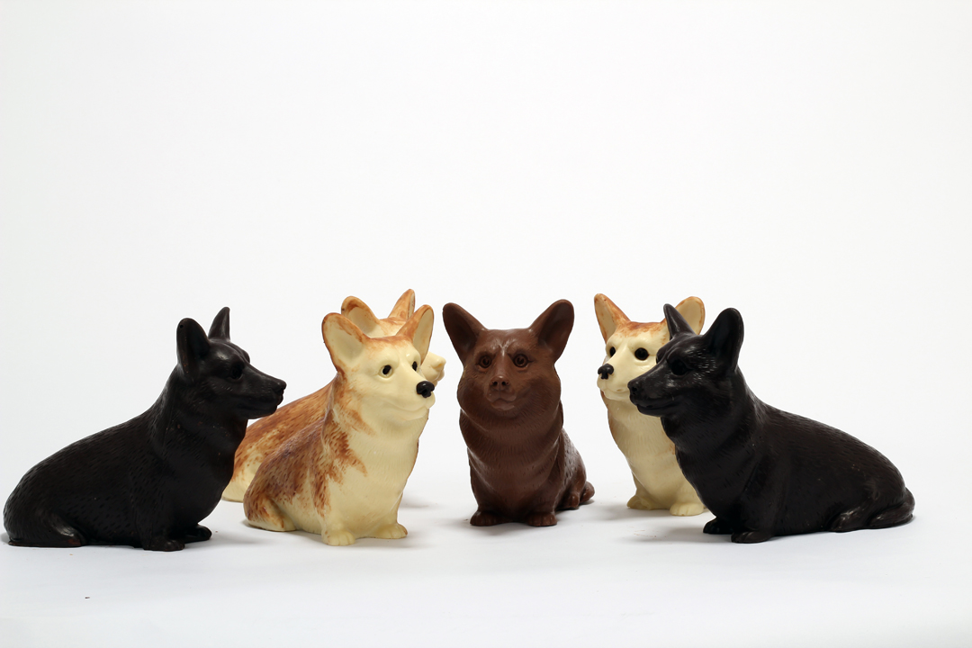Chocolate corgi top