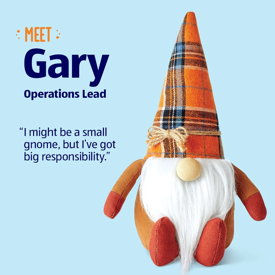 MeetTheGnomes_gary3__.jpg